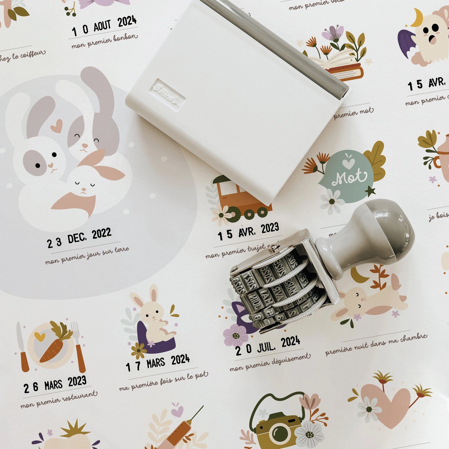 Affiche mes premières fois - Lapins