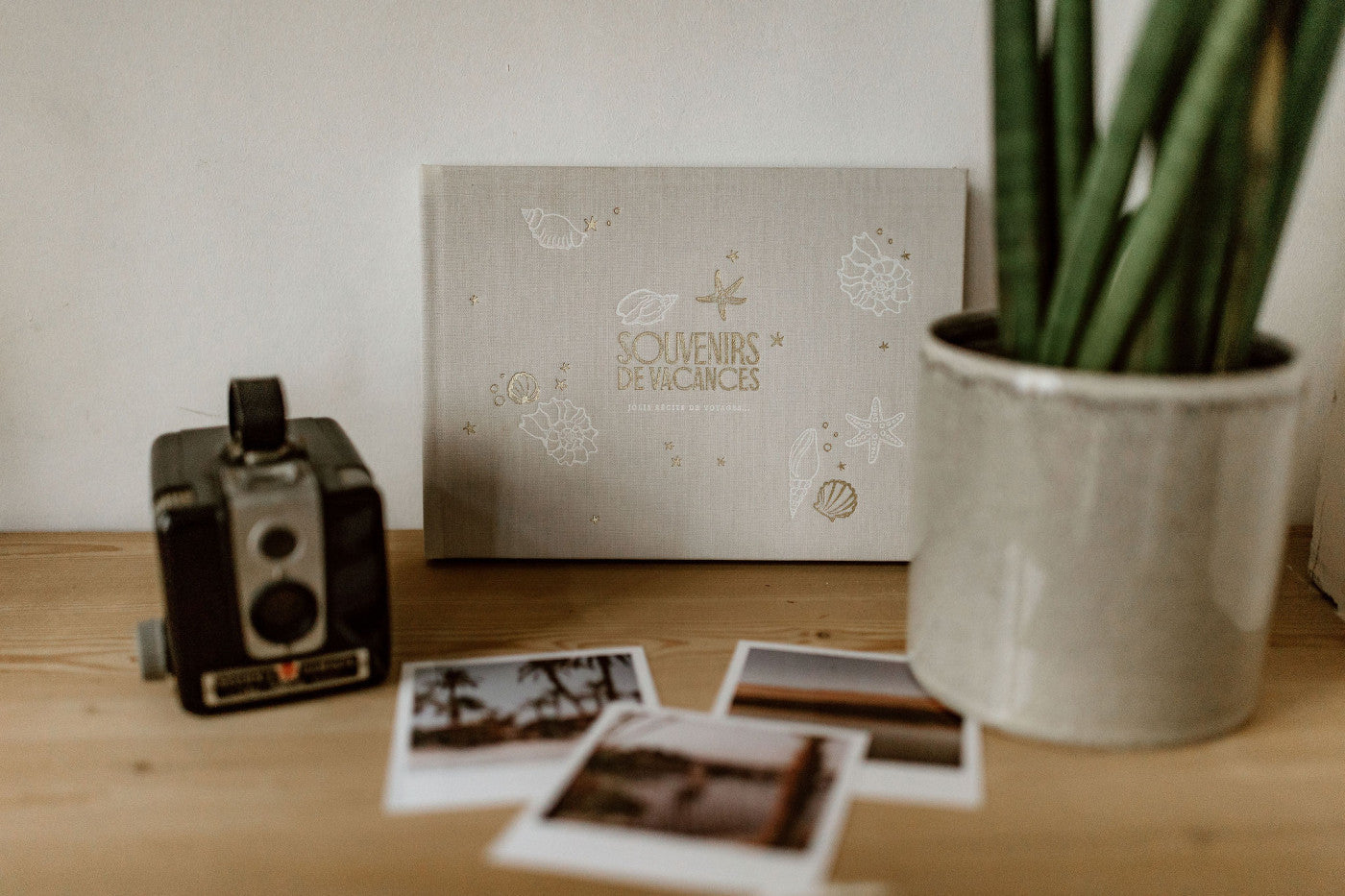 Livre - Souvenirs de mes vacances